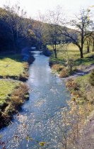 Abram's Creek in summer